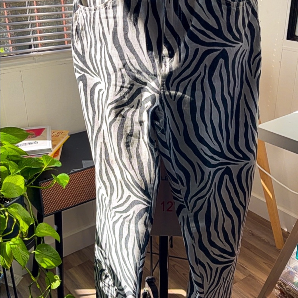 Zebra Print Men's Pants